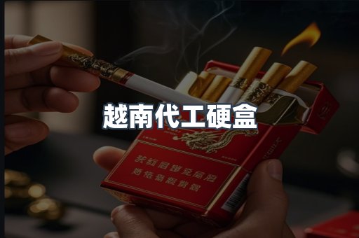 越南代工硬盒